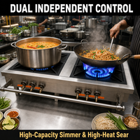 Cuisinière à gaz industrielle et commerciale, brûleur wok, table de cuisson à 2 brûleurs en acier inoxydable pour restaurant, hôtel, cuisine