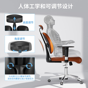 Silla de Oficina Ergonómica con Reposabrazos Ajustables y Diseño de Respaldo Doble para Uso en el Hogar y la Oficina - Product Image 4