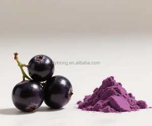 Pó de Fruta de Açaí Orgânico em Alta Venda Aditivo Alimentar Natural Puro - Product Image 4