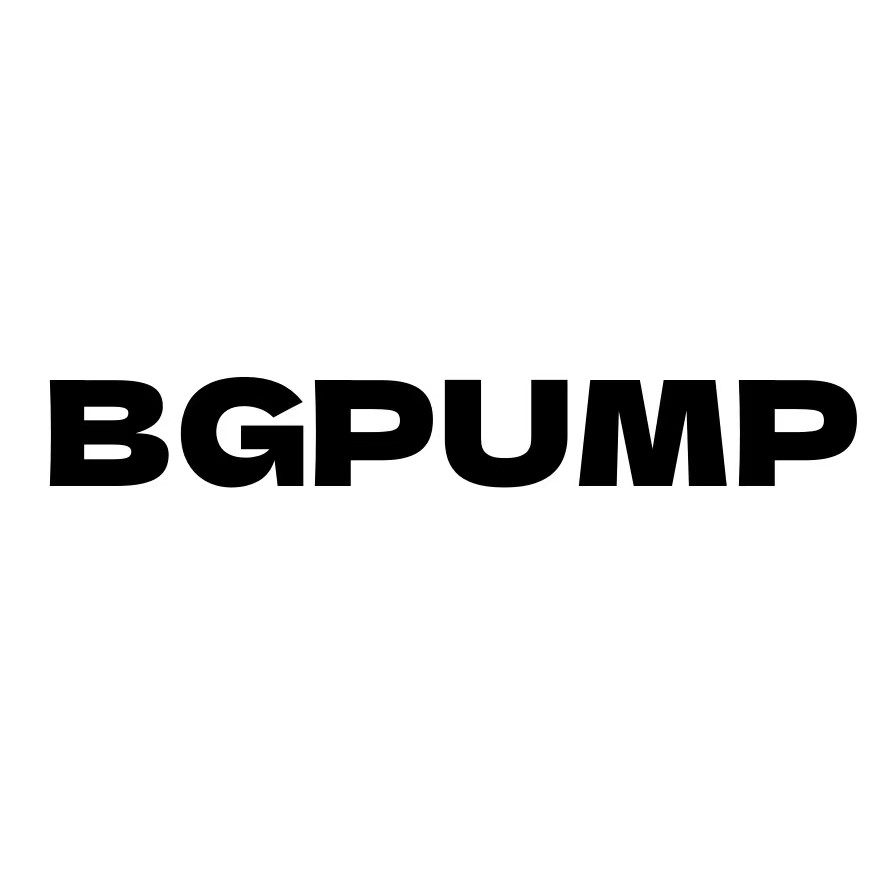 Hebei Beigong Pump Co., Ltd. logo