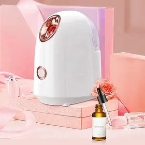 Hot Selling Distributoren gesucht Face Spa Ausrüstung Hot Steam Handbuch Nano Ionic Facial Steamer