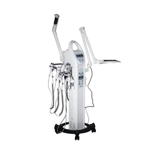 Vertical Type 10 In 1 Facial Multi-Functional Machine Salon Professional 10 In 1 Multifunction Facial Beauty Machine Equipment