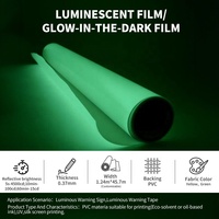 Película de Vinilo de Seguridad Verde Autoadhesiva que Brilla en la Oscuridad, Cinta de Transferencia de Calor Fotoluminiscente, Rollo Luminoso de PVC
