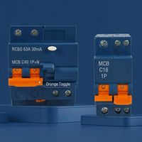 Wanbo-242 Vente Chaude Disjoncteurs MCB C16 C40 & RCBO C63 30mA Série 400V 6kA IEC 60898-1 Spécifications Directes Usine