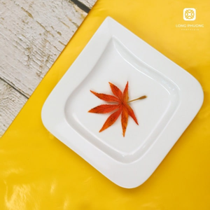 Assiette carrée en céramique Thanh Le 20cm | Vaisselle vietnamienne artisanale pour salle à manger et décoration | Vente en gros disponible - Product Image 4