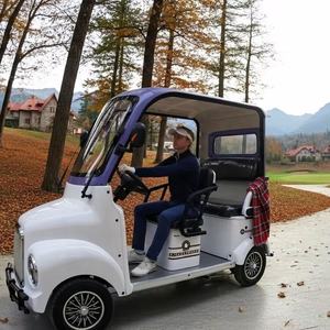 Holladay Cool Fashion <span class=keywords><strong>Scooter</strong></span> Elettrico a 4 Ruote per il Tempo Libero, Mini Quadriciclo Elettrico per Passeggeri, Quadriciclo Elettrico per il Turismo - Product Image 1
