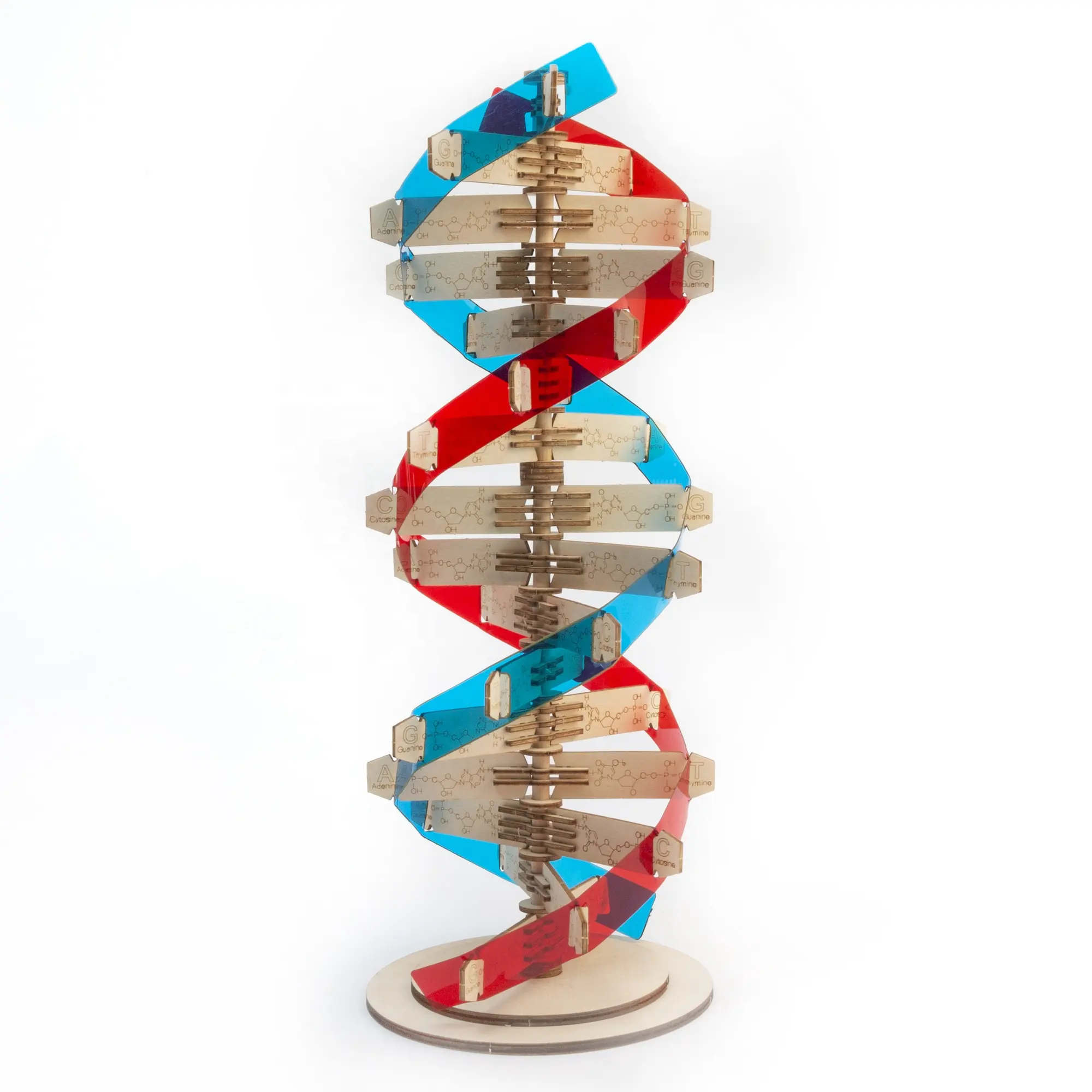 Educational Toys DNA Science Model STEM Learning Toys For Kids