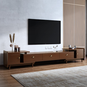 Ensemble salon moderne minimaliste extensible en bois massif nordique, comprenant un meuble TV et une table basse - Product Image 1