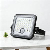 Projecteur LED paysager ultra-lumineux 10W, étanche IP65, pour extérieur