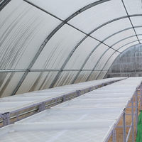 Four de séchage agricole durable à faible coût, structure en plastique et tunnel en film d'acier pour la culture de fleurs et de plantes