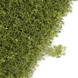Künstliche Pflanzenwand für Villenhöfe - Hochgradig Witterungsbeständig mit Vielfältigen Optionen - Product Image 4