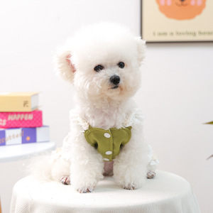 Nueva ropa de otoño/invierno para perros pequeños y cachorros, vestidos cálidos y cómodos de encaje verde rosa. - Product Image 3