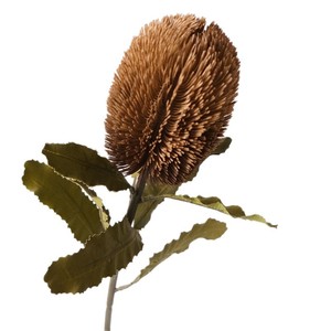 Fiori Artificiali di Alta Qualità Fatti a Mano in Legno <span class=keywords><strong>Banci</strong></span>, Stile Nordico, Grandi Rami Colorati Autunnali; Composizioni Floreali Decorative Bex - Product Image 5