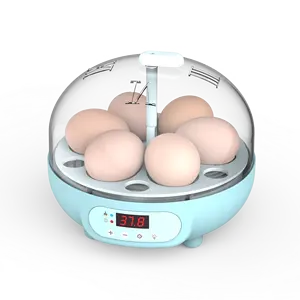 Dijual Inkubator Telur Mini, Peralatan Mengajar Rumah Tangga Kapasitas 6 Telur