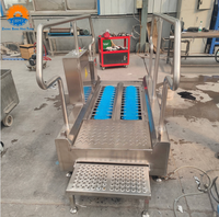 Machine automatique de nettoyage des semelles et des bottes pour l'hygiène, station de désinfection pour abattoirs et usines agroalimentaires avec désinfectant pour les mains
