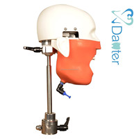 Maniquí de entrenamiento dental con torso y hombros/Simulador para sillón dental, cabeza de fantasma, modelo de paciente articulado de resina y metal