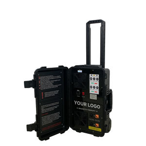 Dispositivo PEMF Equino de Doble Canal para Caballos, Fisioterapia PEMF, Máquina de Magnetoterapia para Acelerar la Recuperación de Heridas - Product Image 1