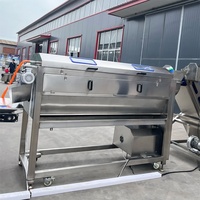 Borstel Groente Wasmachine Gemberschilmachine Aardappel Wortel Groente Wasmachine Schiller Reinigingsmachine