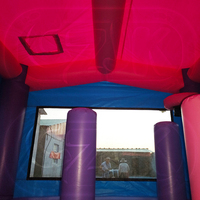 Château Gonflable Commercial Combo Toboggan Aquatique et Trampoline Licorne