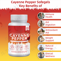 Capsules de Capsaïcine Haute Pureté 500mg - Extrait Naturel de Piment pour le Métabolisme et la Gestion du Poids - Service de Marque Privée OEM/ODM
