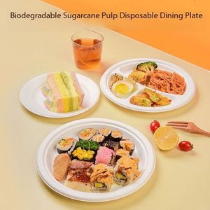 Assiettes écologiques robustes et compostables en canne à sucre, résistantes à l'huile, pour les fêtes d'enfants et les événements scolaires, idéales pour les collations et les desserts sucrés - Product Image 4