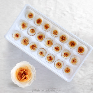 Venta Caliente, Cabezas de Rosas Preservadas de Grado A de 2-3 cm, Flores Eternas de Austin para Manualidades, Decoración del Hogar, Bodas, Navidad - Product Image 4