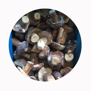 Venta al por Mayor de Champiñones Porcini Enteros Congelados IQF de Cultivo Orgánico 10kg Sharp Dragon - Product Image 1