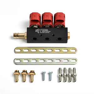 Kit de Conversión de Combustible de Gasolina a Gas para Vehículos LPG/CNG, 2/3 Ohmios, 4 Cilindros, Rojo, Unidad de Control de Riel de Combustible, Ajuste Universal para Modelos de Automóviles Estándar - Product Image 4