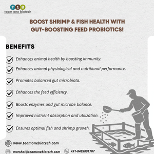 Alimentation Probiotique pour l'Aquaculture Propre - Product Image 1