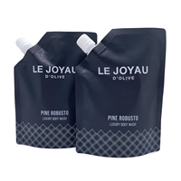 Pochettes à bec verseur pour gel douche et crème visage, formats 250ml et 300ml, rechargeables, sacs de voyage, fourniture directe usine