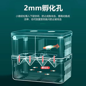 Boîte d'incubation pour aquarium, rectangulaire, transparente, avec double trou d'alimentation, conçue pour l'éclosion et la reproduction des alevins - Product Image 3