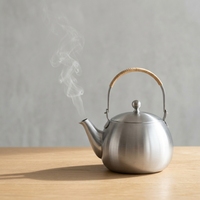 Tetera de Acero Inoxidable Apta para Inducción con Asa de Ratán, Tetera de Estilo Zen de Lujo con Infusor para Hervir Agua