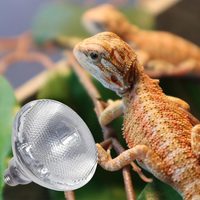 Ampoule chauffante UVB pour reptiles 80W 150W 100W, lampes chauffantes UVA pour terrarium et vivarium de reptiles, pour dragon barbu et tortue