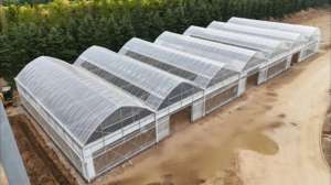 Conception moderne de poulailler ouvert adaptée à 10000 poulets - Product Image 2