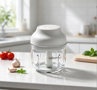 Hachoir Électrique Portable USB OEM 250ml en Acier Inoxydable, Mini Broyeur de Viande et Légumes Rechargeable pour Usage Domestique