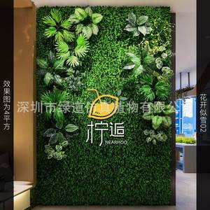 Mur végétal artificiel Free Love Maple Love Plant, 1 mètre carré, décoration intérieure, style naturel, simulation par moulage par injection - Product Image 2