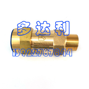 Válvula de Seguridad Carrier SFA-22C300T1 30XAXWXQ Tipo Palanca de Apertura Total - Product Image 1