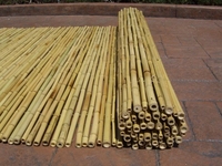 Tissage de clôture en bambou naturel avec fil en acier inoxydable