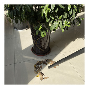 2025 CE nouveau produit lancement concepteur conception saleté diable <span class=keywords><strong>aspirateur</strong></span> pour voiture nettoyage humide sec coup <span class=keywords><strong>aspirateur</strong></span> - Product Image 4