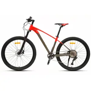 Bicicleta de Montaña de acero al carbono para hombre y mujer, MTB 29 personalizable