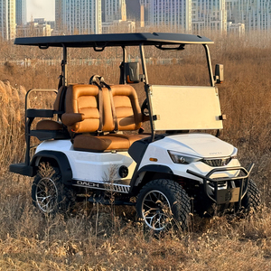Nuevo Producto: Carro de Golf F11 H2+2, Buggy de Golf de 4 Plazas - Product Image 6