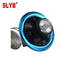 Thermostat capillaire WHD-300E 50-300 degrés pour incubateur d'œufs, contrôleur de température, chauffe-eau à gaz, four, bouton en fer, AC220V, usage commercial