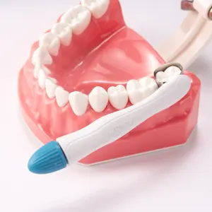 Easyinsmile Dental Esthetics Restoration Composite Filling Material Disposable Dental Matrix Band