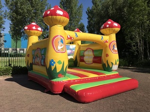 Château gonflable sur le thème <span class=keywords><strong>des</strong></span> champignons, adorable maison de champignons de conte de <span class=keywords><strong>fées</strong></span>, château gonflable robuste en PVC pour enfants - Product Image 4