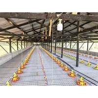 Équipement avicole, ligne d'alimentation automatique pour dindes, mangeoire pour canards, poulets et dindes