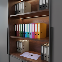 Classeur à levier OUNAN FC 556 de 3 pouces, simple et élégant pour un rangement facile, personnalisable – Meilleures ventes