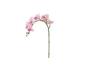 Usine directe réel look réaliste de haute qualité fleurs d'orchidées artificielles tige 7 têtes de mariage décoration - Product Image 2