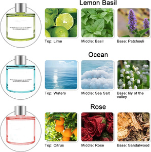 Home Fragrance 50ML Fashion Glass Bottle Fruity Scent Perfume Essential <b>Oil</b> <b>Diffuser</b> Scent <b>Reed</b> <b>Diffuser</b> - Product Image 3