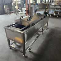 Friteuse Commerciale Automatique Continue pour la Fabrication de Coupes de Poulet Croustillantes, Frites et Chips – Machine à Frire les Snacks