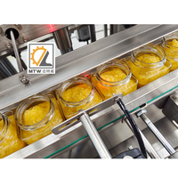 Machine de remplissage automatique MTW pour sauce à l'ail et à l'huile de chili, mayonnaise au beurre d'arachide, pâte de viande pour le déjeuner
